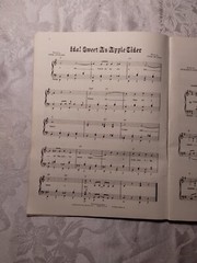 Old Fashion Sing Along Songbook Piano/ Vocal/ Organ/ Chord Arrangements 12 Songs