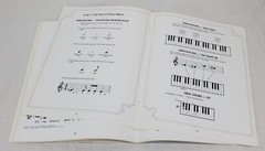 YAMAHA ELECTONE Organ Owner&rsquo;s Manual HS Series W/ Electone Companion Books