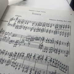 Vintage G Schirmer Brahms Piano Works Vol 1 Piano Score Yellow Vol 1757 USA