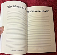 The Music Staff Notebook: Songwriting Manuscript Paper For Capturing Music Ideas