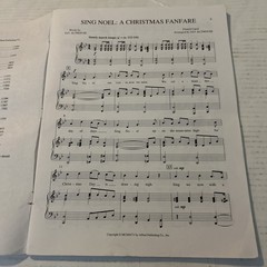Christmas For Solo Singers 14 Seasonal Favorites Medium Low Voice Sheet Music