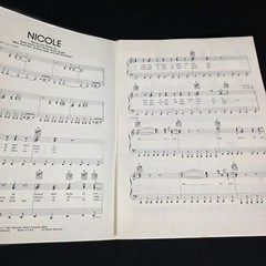 NICOLE Sheet Music P/V/G Point Blank Cherry Lane 0880 1981