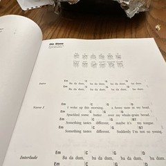 Ingrid Michaelson Pop Sheet Music Songbook for Acoustic Guitar Solo Cherry Lane