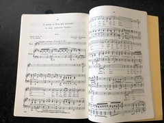 Anthology of Italian Song of the 17th & 18th Centuries – Bk 1 w/ vocals, c. 1926