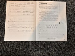 Hal Leonard & Alfred Guitar Tab Book Lot (6) Lynyrd Skynyrd Scorpions Acoustic