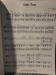 Indigo Girls Rites of Passage Piano Vocal Guitar Chord Songbook w Tab Tablature