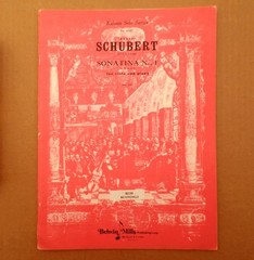 Schubert Sonatina No.1 in D Major opus 137 for Viola and Piano