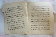 EARL & HARRY CARROLL Sheet Music — DO THE FUNNY FOX TROT — 1914, Large Format