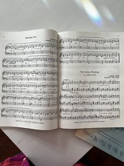 Treasury Of Popular Classics Music For Piano 108 Well Loved Musical Themes 1955