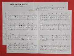 A Whole New World Sheet Music Duet Piano Guitar Vocals Walt Disney Aladdin Theme