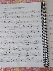 Brad Edwards Lip Slur Melodies Trombone 2013 Spiral Bound soft copy