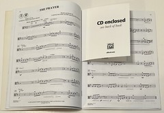 Pop Hits for the Instrumental Soloist: VIOLA w Piano Accompaniment Sheet Music