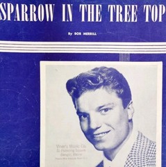 1951 Sparrow In The Tree Top Antique Sheet Music Guy Mitchell Bob Merrill DWNsm2