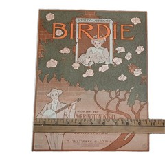 Antique Birdie Sheet Music Cover Art Nouveau 1900s Witmark Perfect For Framing