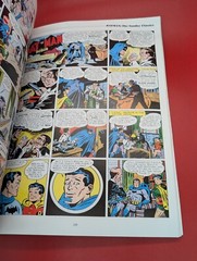 BATMAN: SUNDAY CLASSICS 1943-1946 Trade Paperback DC KITCHEN SINK 1st Print 1991