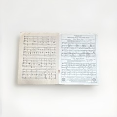M Witmark & Sons « Stand Up and Sing for Your Father » Piano/Vocal Solo MPN 6499-4
