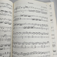 Mozart Sonatas & Fantasies For The Piano Theodore Presser Songbook Music Vtg