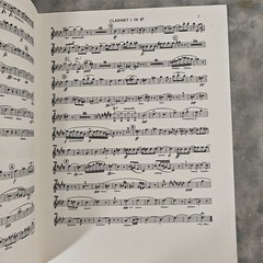 Schubert Symphony No.8 Unfinished Clarinet I Part A & Bb Lucks Music c.1980s USA