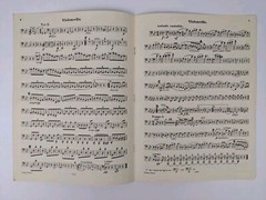 Edition Peters Schumann Piano Quartet in Eb Major Opus 47 Complete w/ all parts
