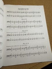 Electric Bass Method Volume 2 by roger-filiberto With Online Access Very Good