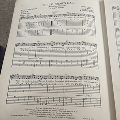 Little Brown girl by Lee Wood Guitar