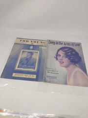 Lot Of Thirty Vintage Sheet Music Show Tunes Hit Parade Piano Vocal Movie Stars