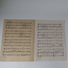 1922 « Dreamy Melody » Vintage Sheet Music 1920s Song for Piano Ukulele