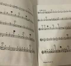 Magnus Chord Organ Book ~Songs Of Many Lands Music 14 1959