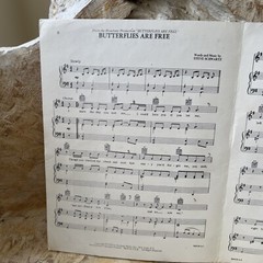 Butterflies Are Free Sheet Music Piano& Vocal Charles Hansen Inc. 1969