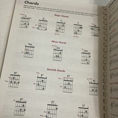 The Complete Acoustic Guitarist: Everything You Need to Know to Start Playing…