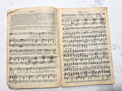 The Gray Book of Favorite Songs Songbook Hall & McCreary Co. 1924