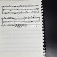 Summer Dances for Flute Horn & Cello Sheet Music Score Parts 1987 Vtg