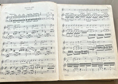 1913 Ideal Home Music Library Vol VIII Songs from the Operas Vocal Sheet Musical