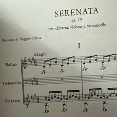 Mauro Giuliani Serenata Op. 9 Classical Guitar Violin sheet Music -HTF 45 Pages
