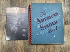 Vintage Lot Of 22 Assorted Sheet Music Multiple Songs #JAB02