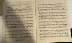 1932 Beautiful Blue Danube waltz. By Johann Strauss. Vocal Sheet music.