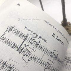 Vintage G Schirmer Brahms Piano Works Vol 1 Piano Score Yellow Vol 1757 USA