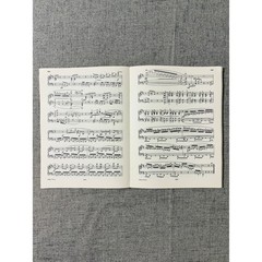 BEETHOVEN SONATEN I Klavier Piano Sheet Music EDITION PETERS, Nr. 296a
