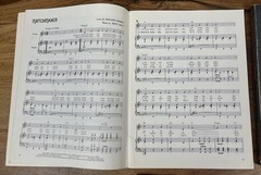 (8) 1965-86 Theatre/Broadway Music/Lyrics Songbooks & Hit Song Books -79 Songs