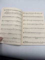 Great Golden Folk Songs Sing Along – Charles Hansen Educational Music and Books