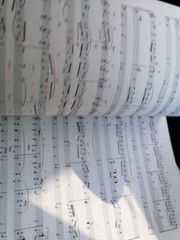 The Organist Entertains 25 pieces 128 pages Paperback FREEPOST