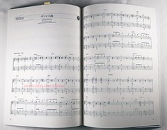 Final Fantasy X ~ XIII-2 Guitar Solo Collection IMPERFECT Sheet Music Tab w/ CD