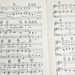 Little Things Mean A Lot 1954 Sheet Music Piano Lyrics Chords Lindeman Kallen