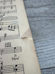 When You and I Were Seventeen Sheet Music P/V/G Irving Berlin 1924 Ukulele