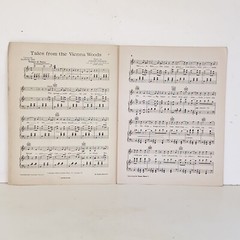 Vintage 1939 Tales from the Vienna Woods Sheet Music Joseph Gallicchio Cover