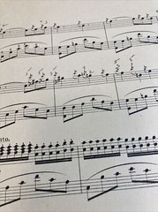 Nightfall Idylle for Pianoforte by Ryder 1873 1901 Large Format Sheet Music Art