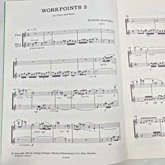 Eugene Hartzell Workpoints 3 Sheet Music Score Flute French Horn Doblinger Duet