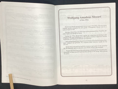 Vtg Sonngbook, Mel Bay&rsquo;s Guitar Classics in Tab, Bolt, 1998 w/cd – ships free
