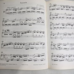 Mozart Sonatas & Fantasies For The Piano Theodore Presser Songbook Music Vtg