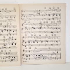 Vintage 1927 Blue Skies Sheet Music Standard Edition by Irving Berlin